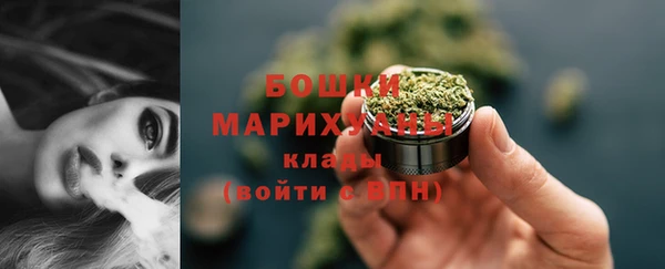 ПСИЛОЦИБИНОВЫЕ ГРИБЫ Арсеньев