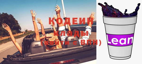 ПСИЛОЦИБИНОВЫЕ ГРИБЫ Арсеньев